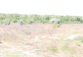Budapest XXIII. district Soroksár 1.7 acre business development site for sale