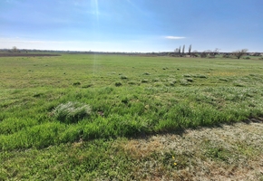 Fejér county Sárszentmihály 4 acre development land for sale