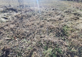 Pest county Gyál at commercially and logistically excellent location, at the junction of M0 and M5 motorways, 35.900sqm development site for sale